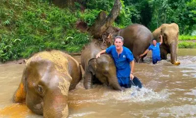 Unforgettable Elephant Sanctuary Experiences